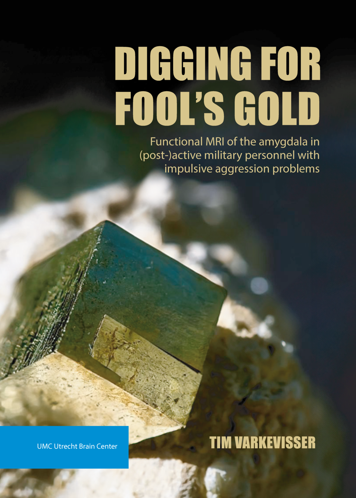 De omslag van het proefshrift 'Digging for fool's gold: Functional MRI of the Amygdala in (Post-)Active Military Personnel with Impulsive Aggression Problems' van Tim Varkevisser